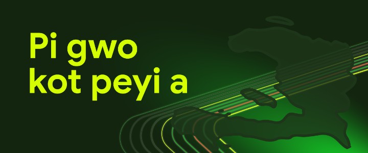 Pi gwo kot peyi a